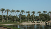 View of the Glendale Skyline